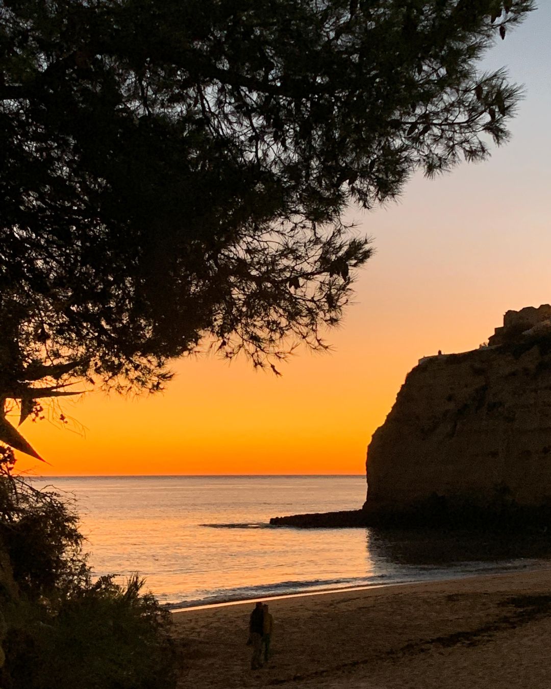 Vitor Dias - Access Portugal Real Estate